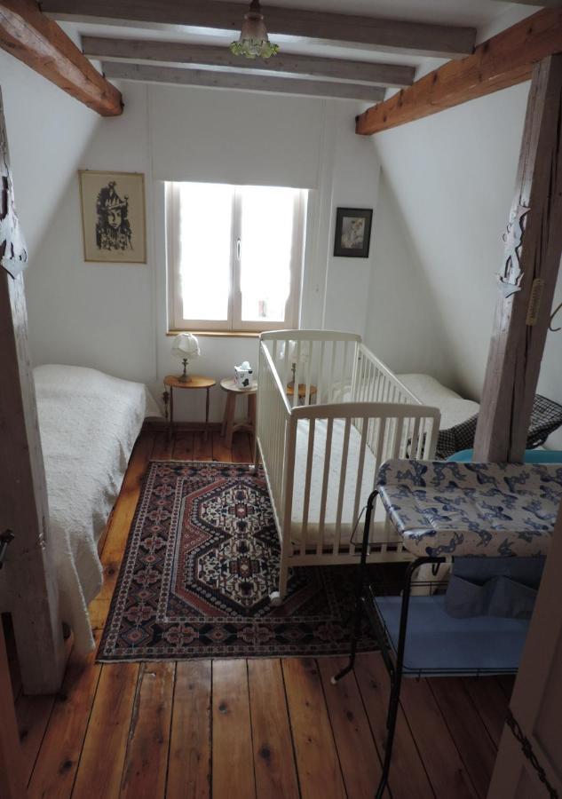 Au-Dessus Du Jardin Appartement Climatise Eckbolsheim ภายนอก รูปภาพ