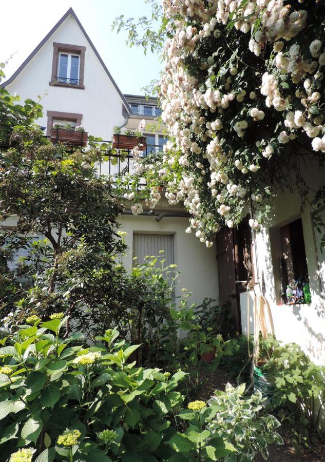 Au-Dessus Du Jardin Appartement Climatise Eckbolsheim ภายนอก รูปภาพ