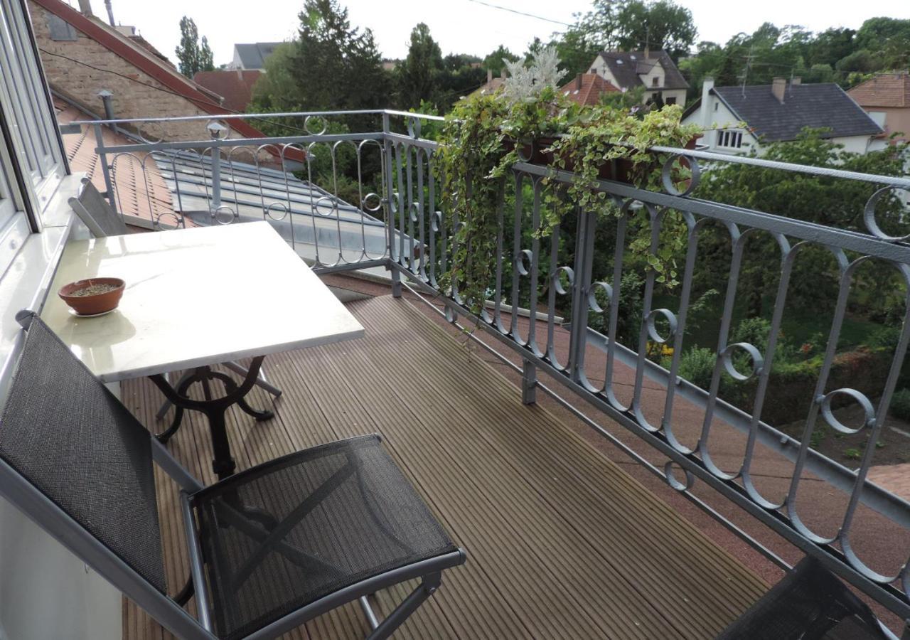 Au-Dessus Du Jardin Appartement Climatise Eckbolsheim ภายนอก รูปภาพ