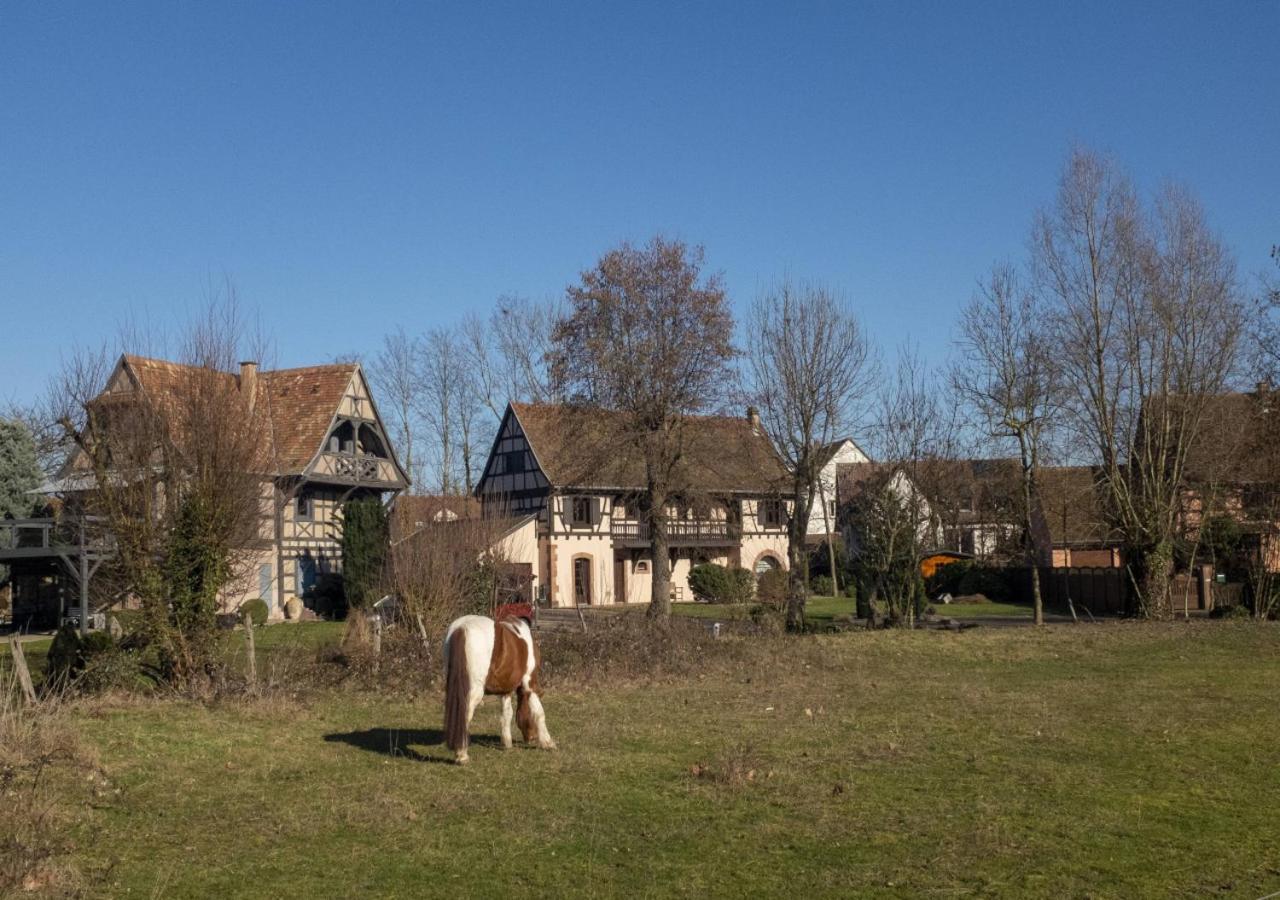 Au-Dessus Du Jardin Appartement Climatise Eckbolsheim ภายนอก รูปภาพ
